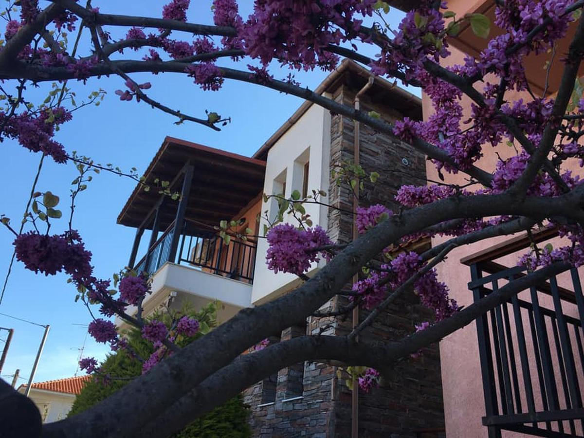 Nea Roda Apartments Bagian luar foto